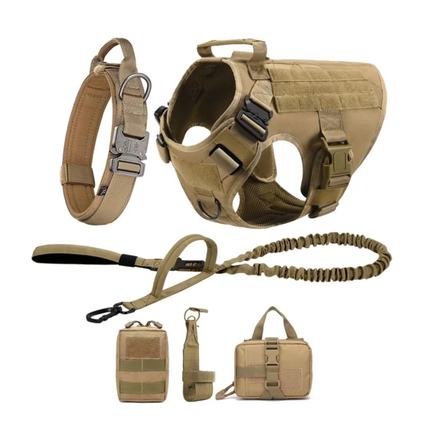 Large Dog Harness And Leash Set