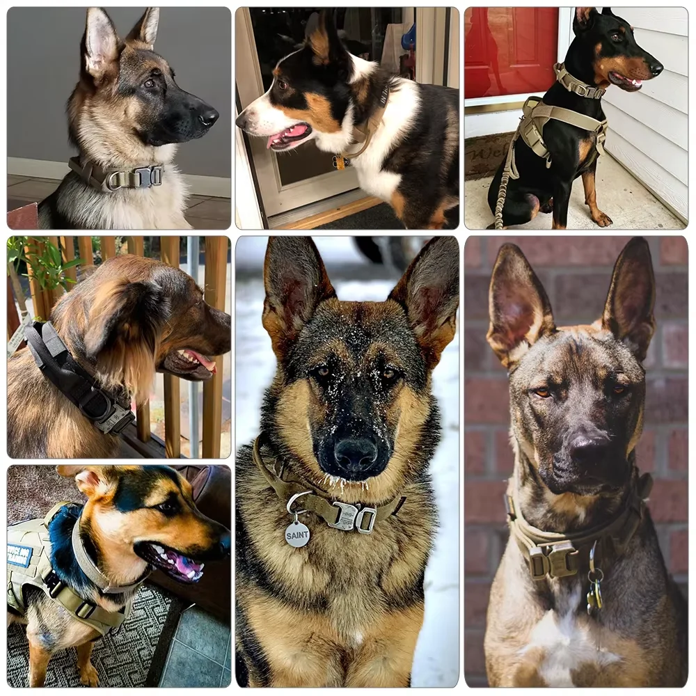 Tactical Training Dog Collar And Leash Set - Image 2