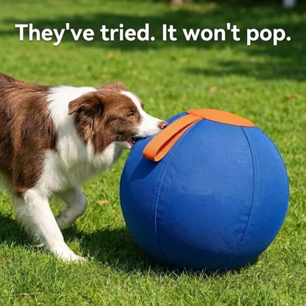 Extra-Large Ruckus Herding Ball for Dogs