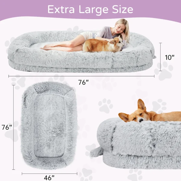 Large Human Size Dog Bed - Orthopedic Design